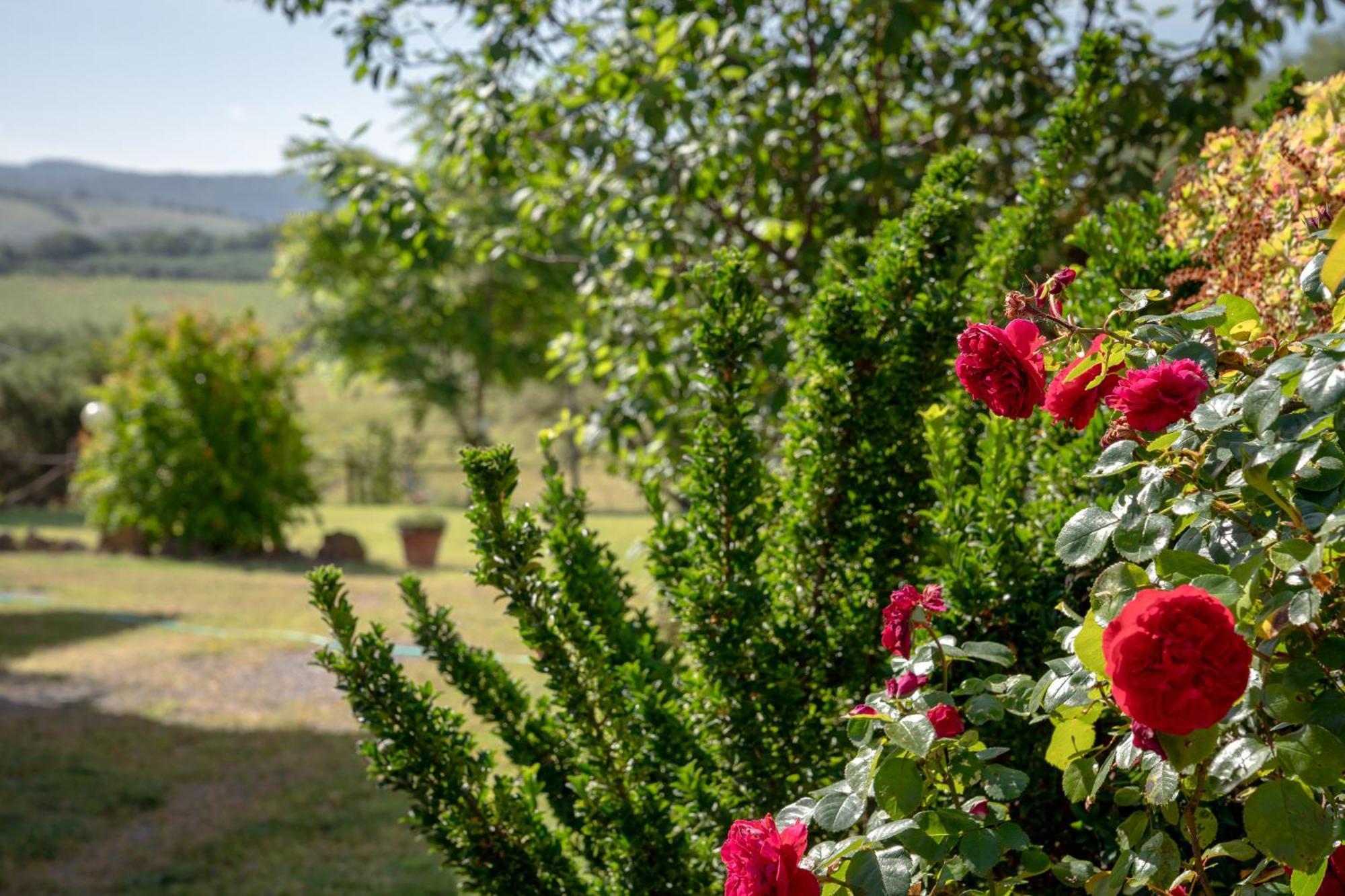Agriturismo La Carletta Preselle Exterior photo